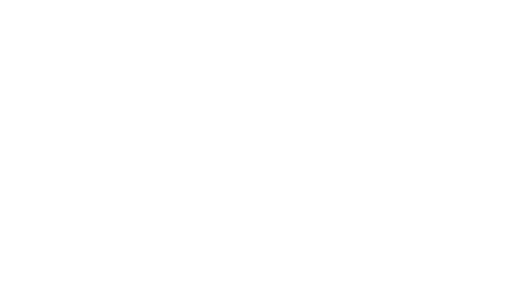 Dokumentarni net
