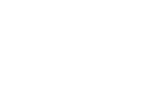 Momentum studio