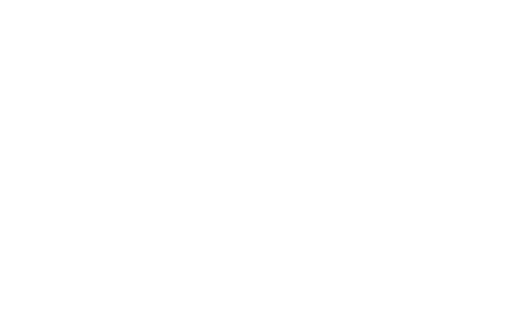 Zona filma
