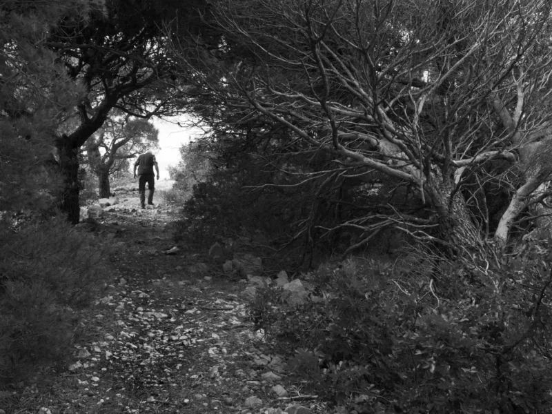 DHF2021-film-MB