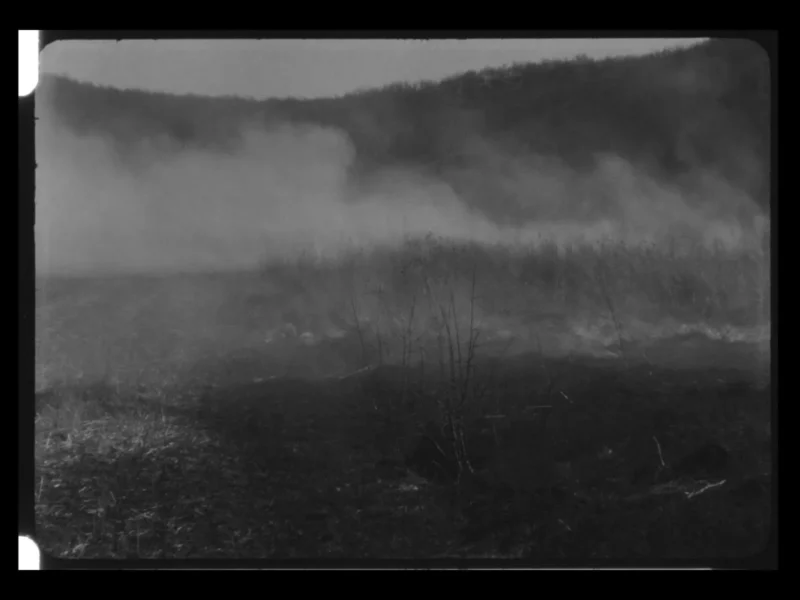 DHF2021-film-lika_bez_naslova