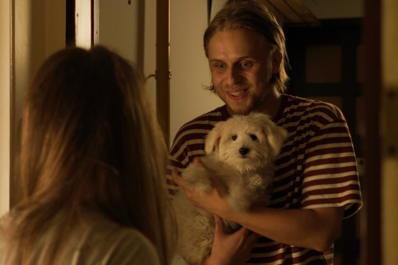 Videobox: Pseća posla