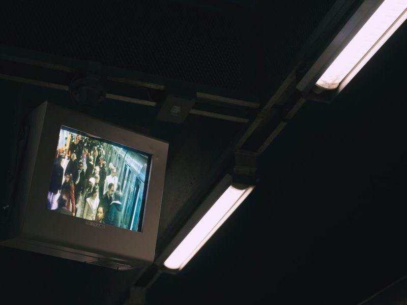 DHF2025-dokumentarni-Zive_slike_Tibor_Durdev