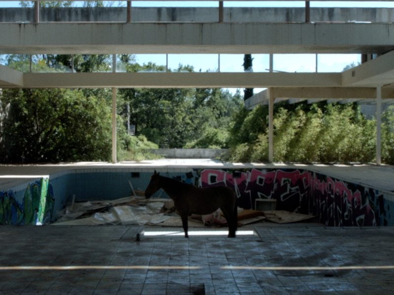 DHF2025-eksperimentalni-Zega_Goran-Njezic