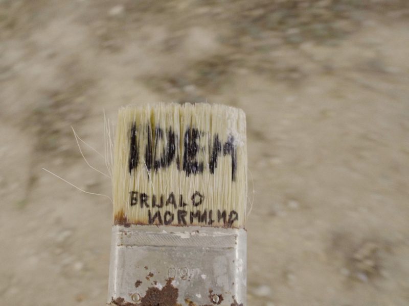 DHF2025-namjenski-IDEM_Brijalo_Normalno_Pavle_Kocanjer