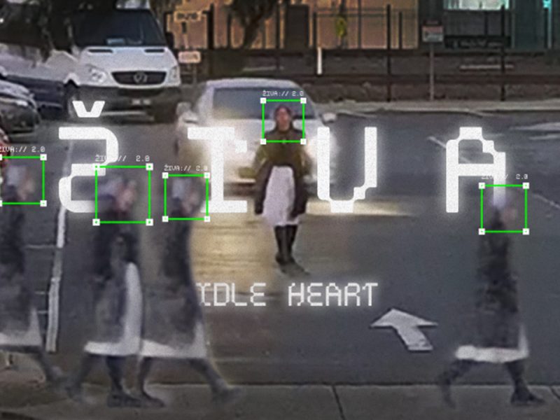 DHF2025-namjenski-Ziva_Idle_Heart_Martin_Peranovic