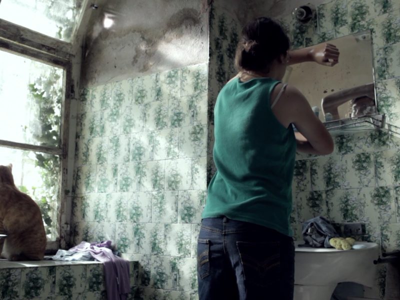 DHF2025-popratni-hanajusic-Terarij