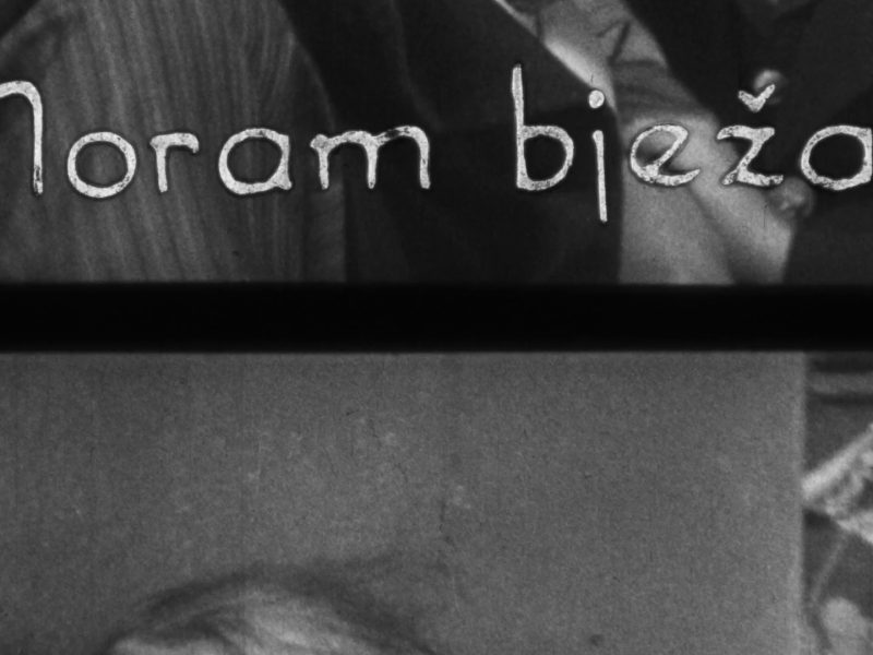 DHF2025-popratni-hfspredstavlja-ECHO_2_Petek DHF2025-popratni-hfspredstavlja-ECHO_2_Petek