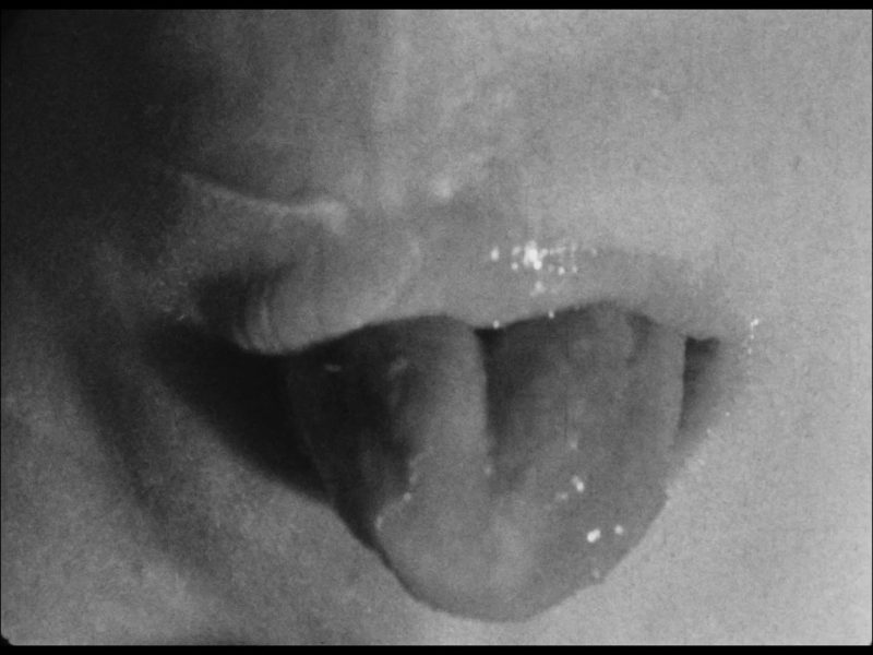 DHF2025-popratni-hfspredstavlja-Neobavezni_pogled_na_svijet_br._4_Budisavljevic DHF2025-popratni-hfspredstavlja-Neobavezni_pogled_na_svijet_br._4_Budisavljevic