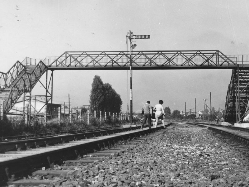 DHF2025-popratni-hrkinoteka-Most